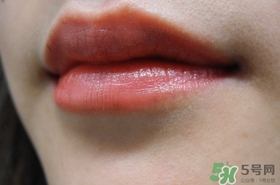 smashboxҺ�崽��ɫ�� smashboxҺ�崽����ɫͼ